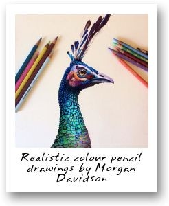 Realistic colour pencil drawings by Morgan Davidson