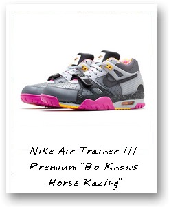 Nike Air Trainer III Premium “Bo Knows Horse Racing”