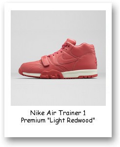 Nike Air Trainer 1 Premium 