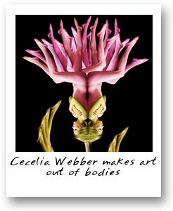Cecelia Webber art
