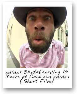 adidas Skateboarding 15 Years of Gonz and adidas
