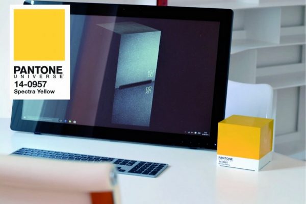 Ordianteur Kubb x Pantone