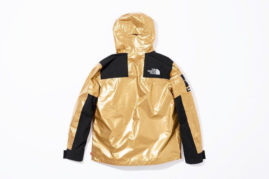 supreme-x-the-north-face-metallic-collection-05