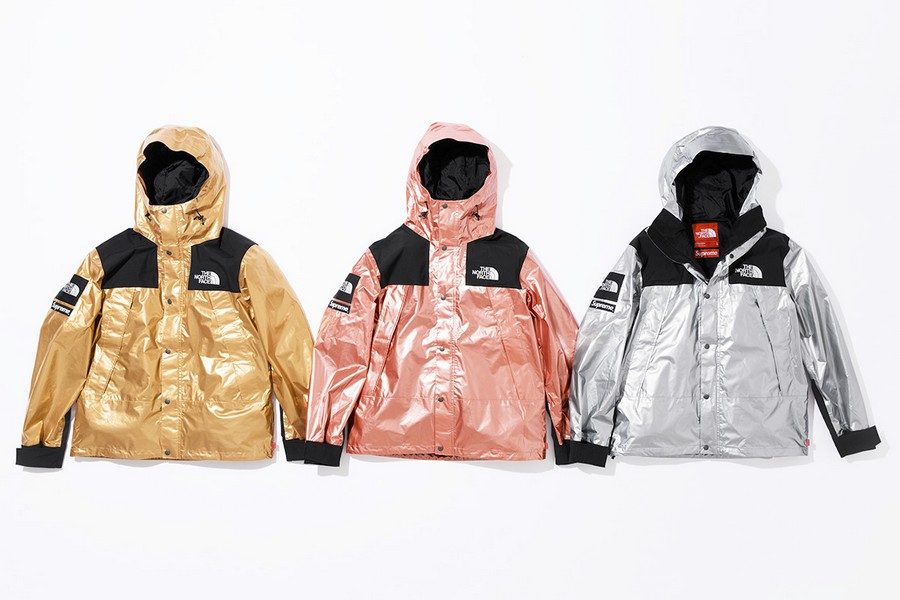 supreme-x-the-north-face-metallic-collection-06