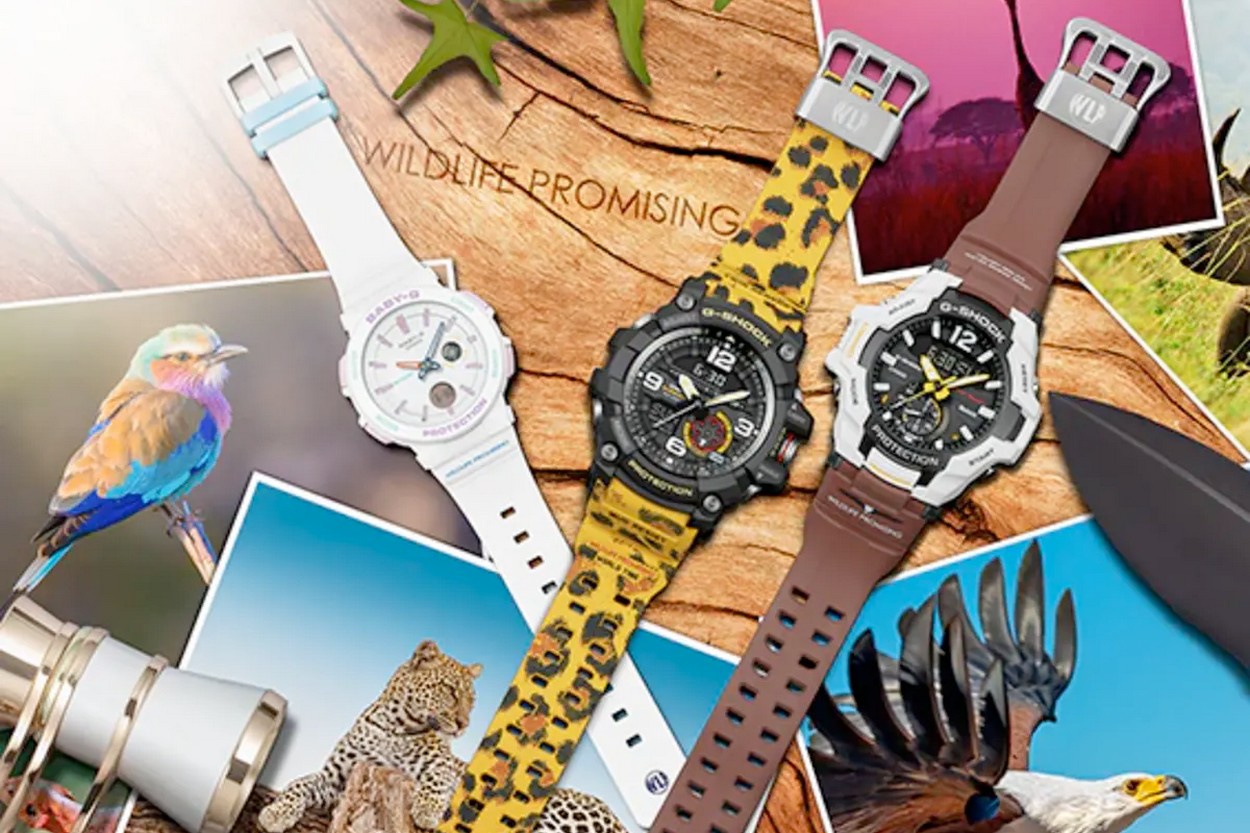 G shock store 2019 collection