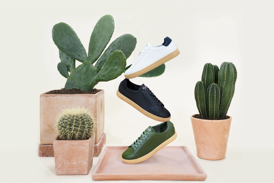 CLAE Bradley Cactus