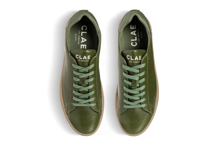 clae cactus
