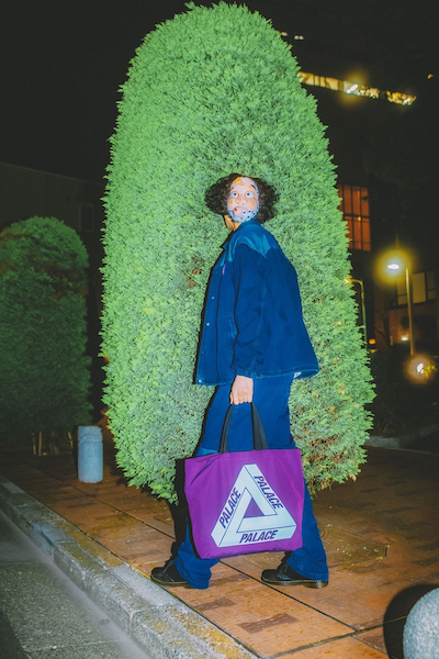 Collection capsule Palace x THE NORTH FACE PURPLE LABEL